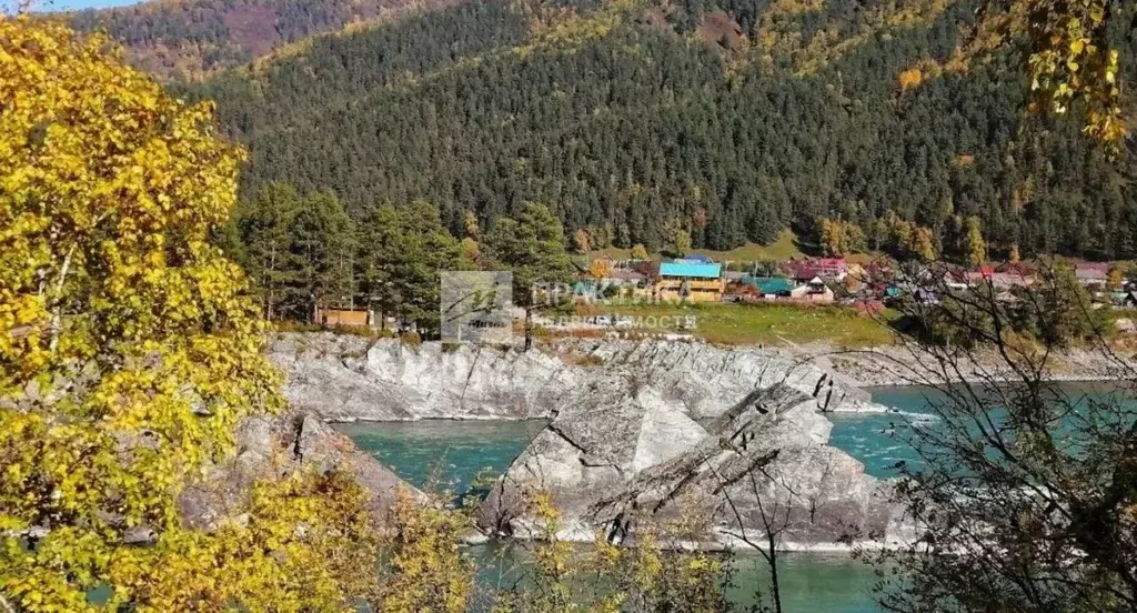 Участок в Алтай, Чемальский район, Элекмонарское с/пос, с. Элекмонар ... - Фото 2