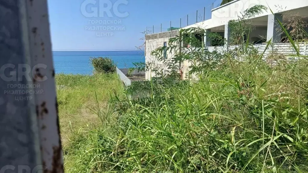 Участок в Краснодарский край, Сочи городской округ, Дагомыс пгт  (11.0 ... - Фото 2