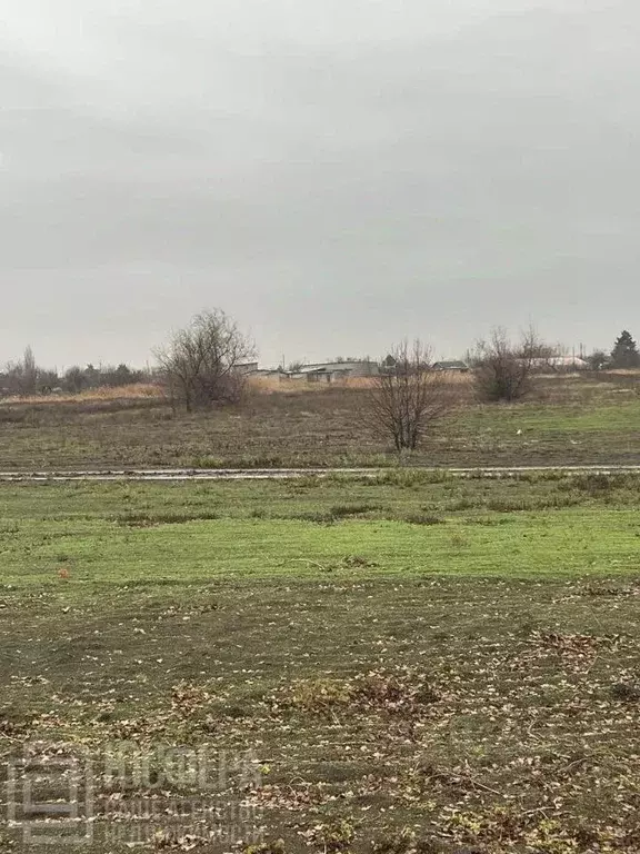 Участок в Волгоградская область, Среднеахтубинский район, Фрунзенское ... - Фото 2