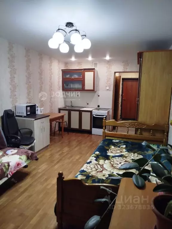 Студия Чувашия, Чебоксары Альгешево мкр, ул. Болгарстроя, 3 (25.9 м) - Фото 1