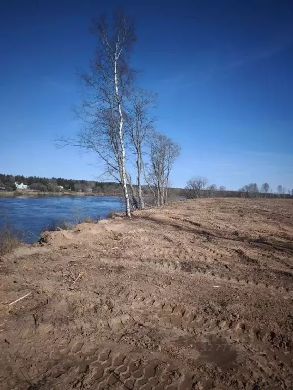 Участок в Новгородская область, Новгородский район, Бронницкое с/пос, ... - Фото 1