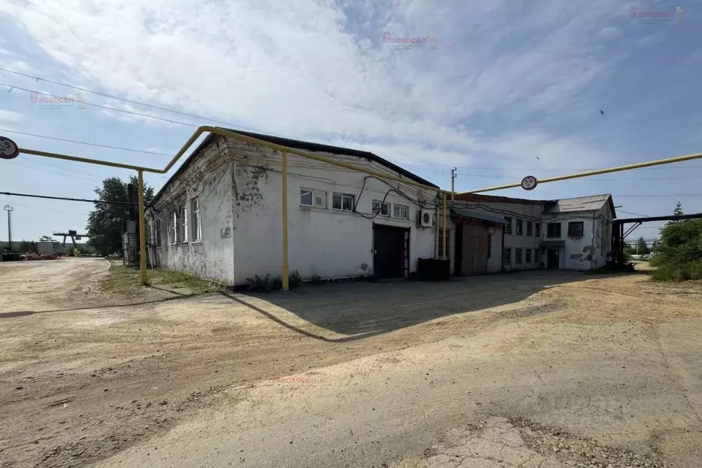 Производственное помещение в Свердловская область, Верхнее Дуброво пгт ... - Фото 1