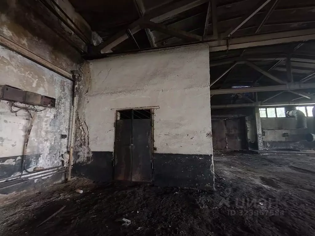 Помещение свободного назначения в Омская область, Омск ул. 2-я ... - Фото 1