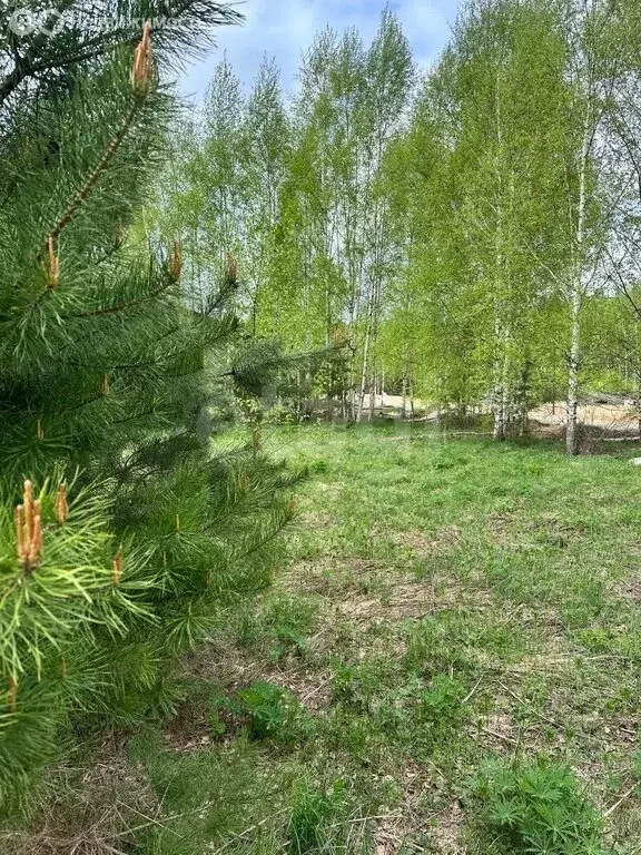 Участок в посёлок Доброград, Сосновая улица (8.3 м) - Фото 1
