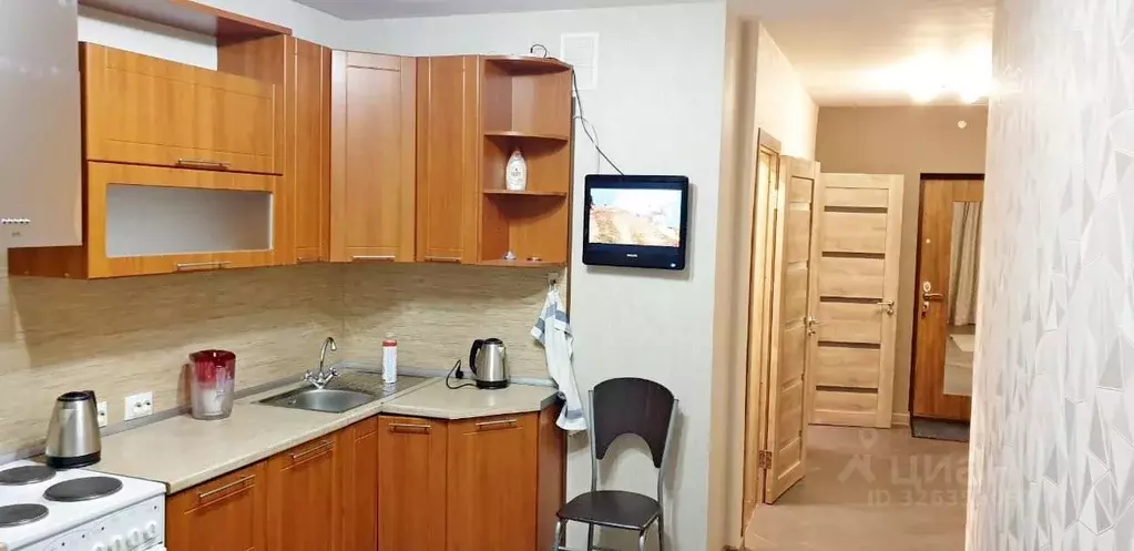 1-к кв. Санкт-Петербург пос. Парголово, ул. Михаила Дудина, 25к2 (43.7 ... - Фото 2