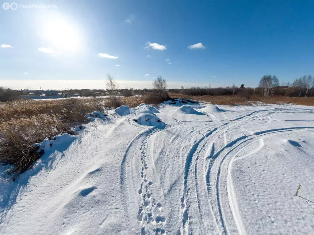 Участок в Тюмень, садовое товарищество Рябинка-2 (8.49 м) - Фото 1