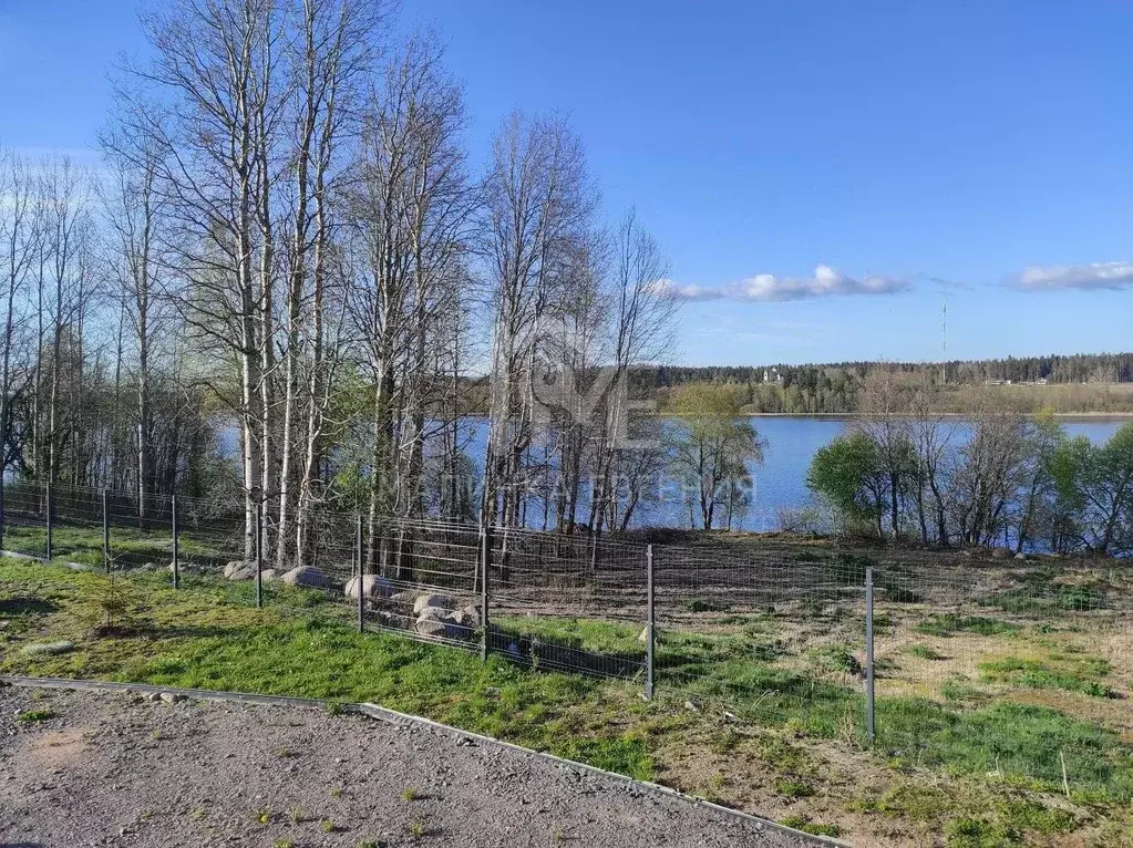 Участок в Ленинградская область, Выборгский район, Приморское ... - Фото 1