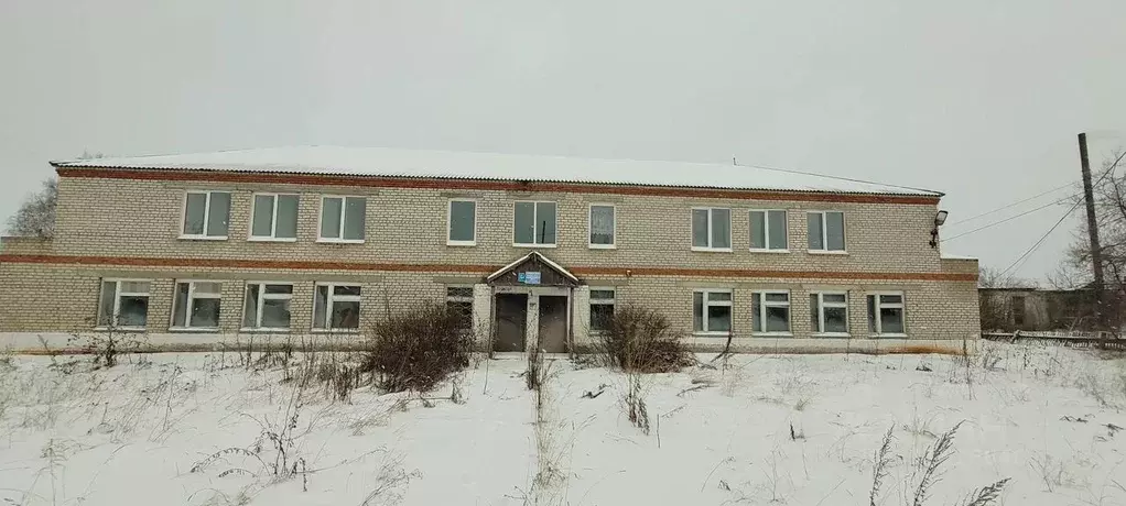Помещение свободного назначения в Челябинская область, Троицк ул. ... - Фото 1
