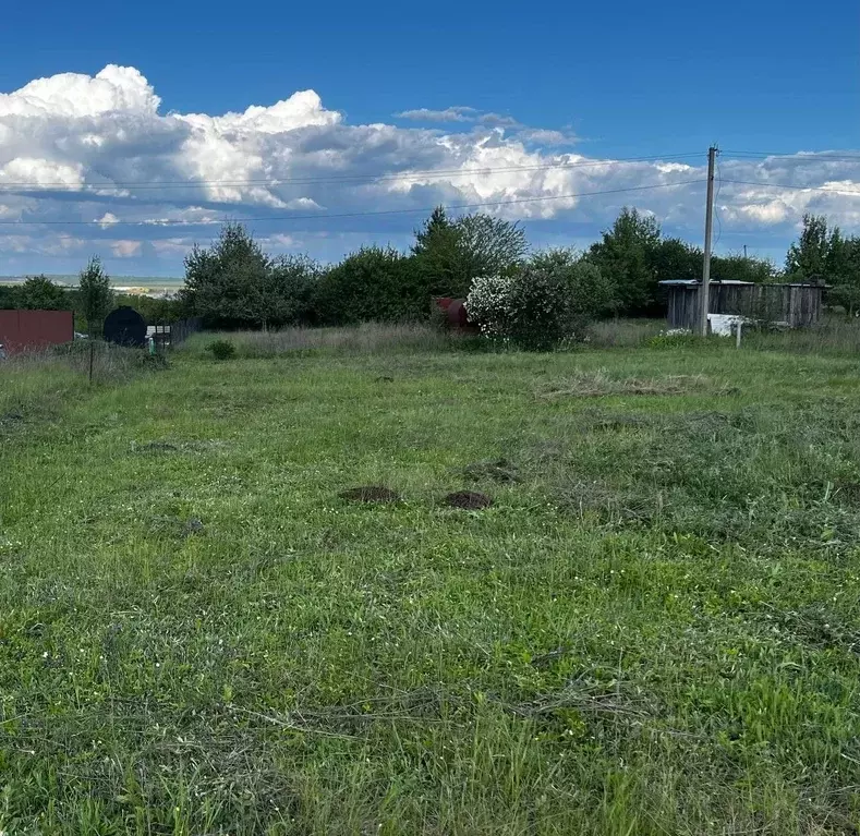 Участок в Белгородская область, Яковлевский муниципальный округ, ... - Фото 1