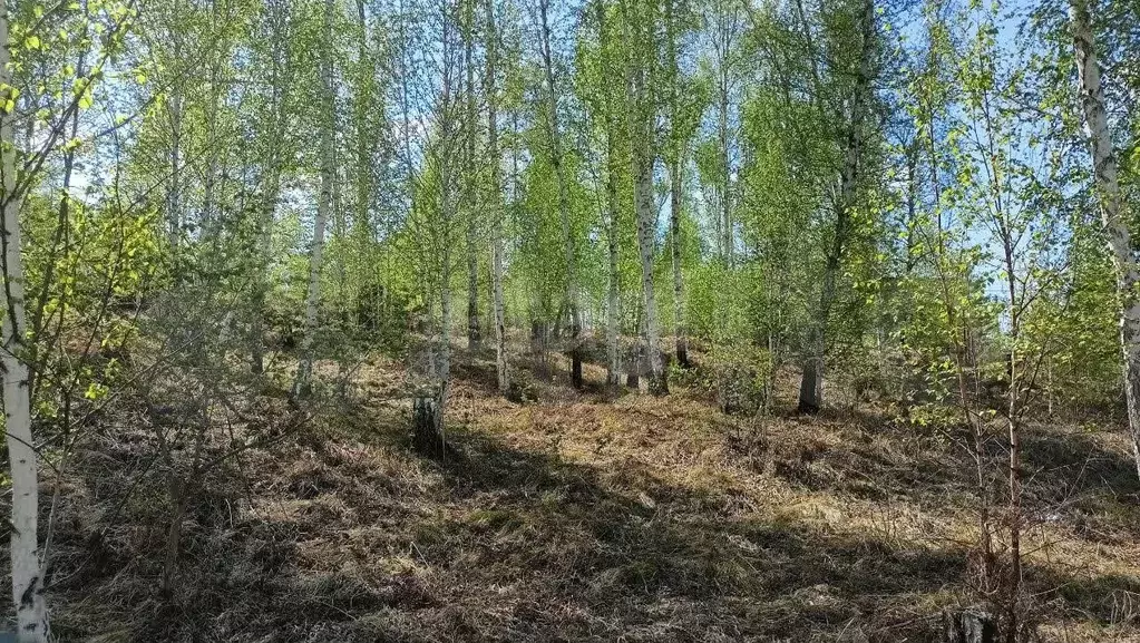 Участок 12 сот. (личное подсобное хозяйство (лпх)) - Фото 0