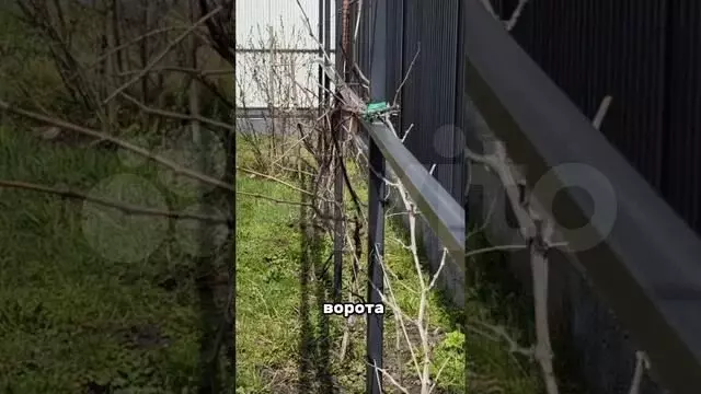 Участок 10 сот. (ИЖС) - Фото 1