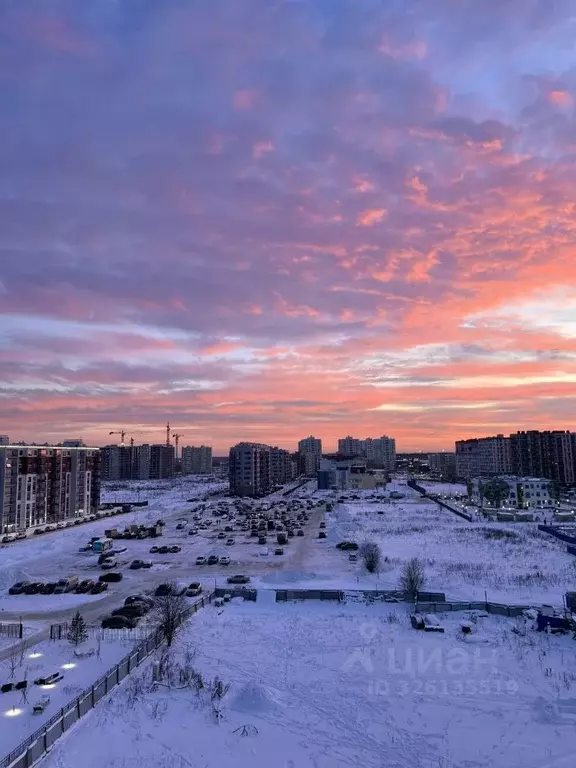 1-к кв. Ленинградская область, Всеволожский район, Заневское городское ... - Фото 2