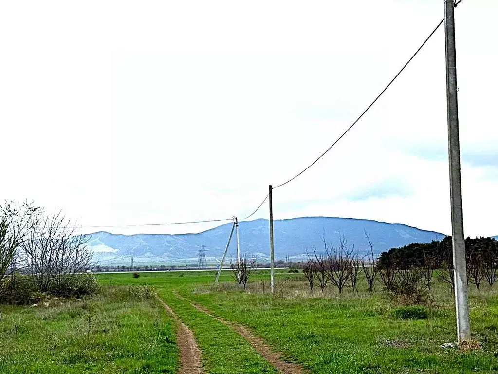 Участок в Крым, Кировский район, с. Абрикосовка ул. Сосновая (6.0 ... - Фото 1