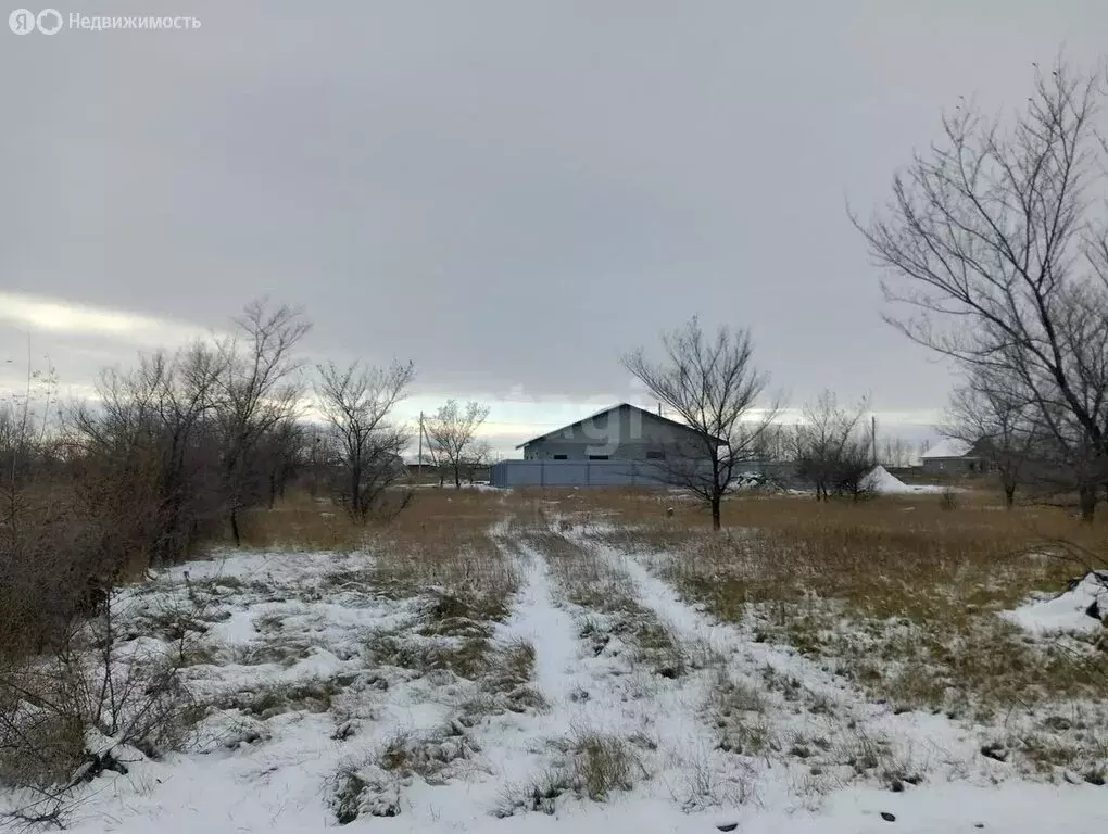 Участок в Калининский сельсовет, улица Согласия (14 м) - Фото 1