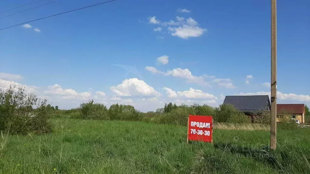 Участок в Новгородская область, Новгородский район, Борковское с/пос, ... - Фото 0