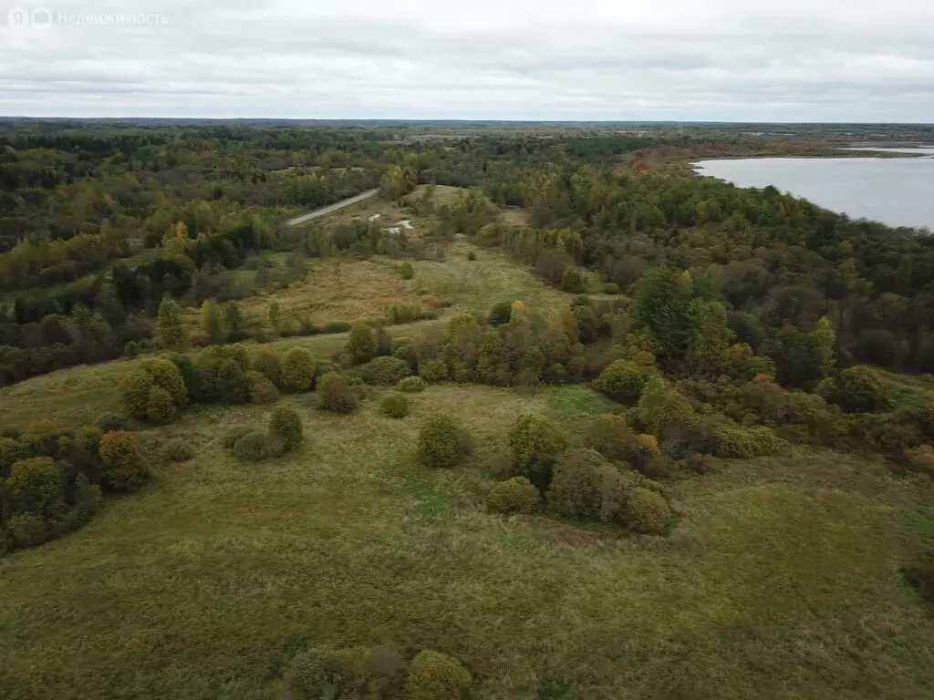 Участок в Железковское сельское поселение, деревня Пирусс (2300 м) - Фото 0