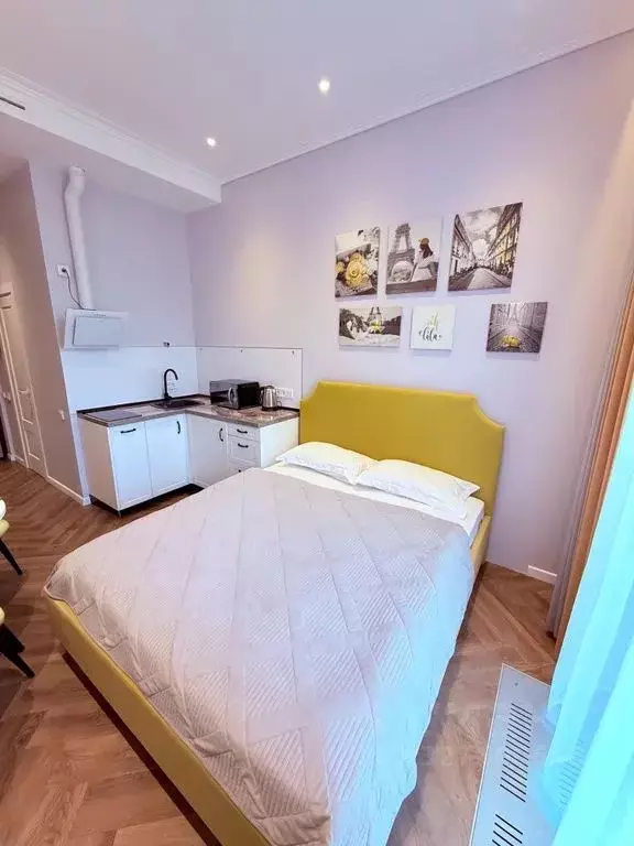 Студия Москва ул. Казакова, 7 (19.0 м) - Фото 1