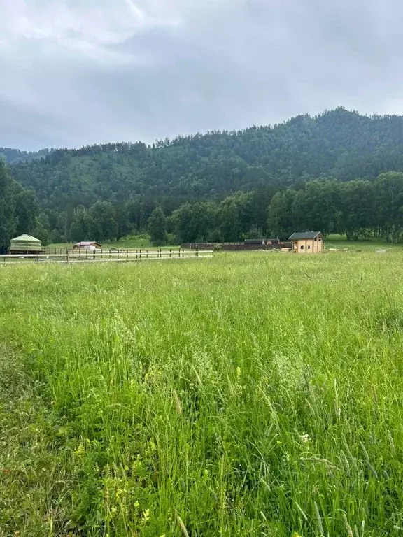 Участок в Алтай, Чемальский район, с. Турбаза Катунь  (10.0 сот.) - Фото 0