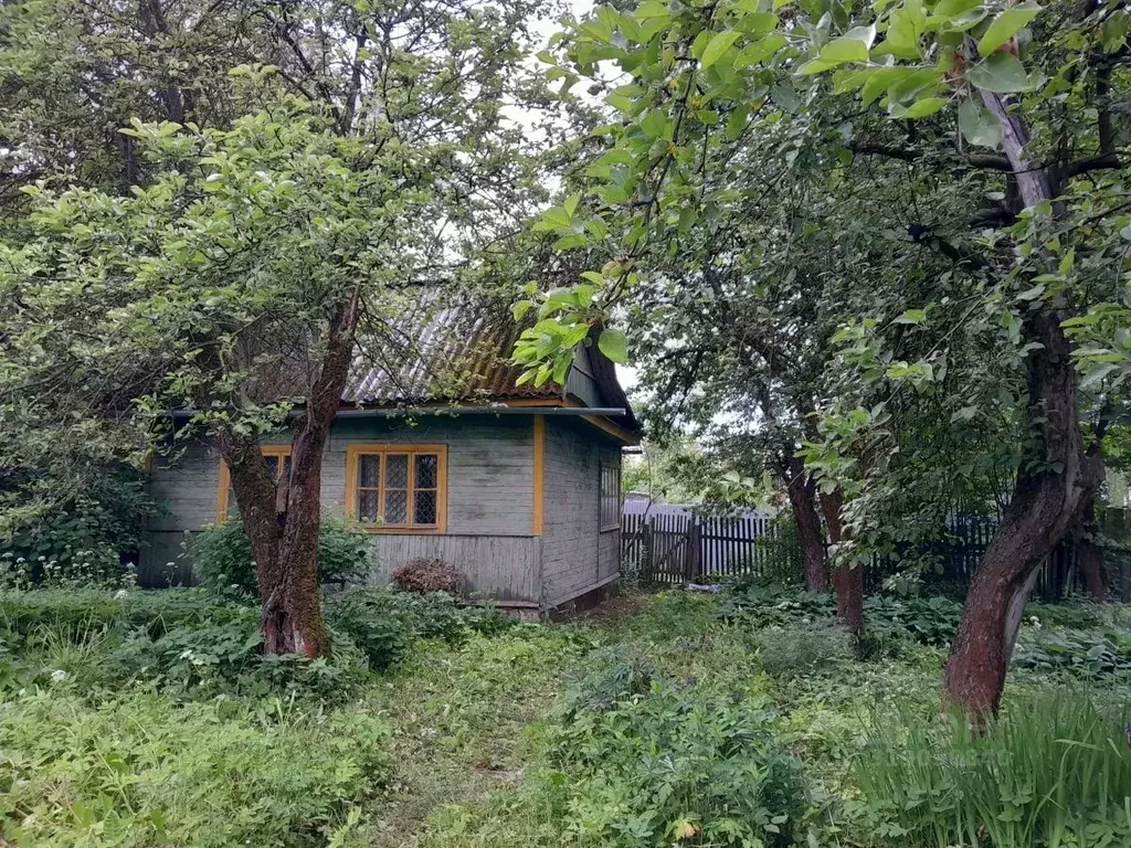 Участок в Московская область, Одинцовский городской округ, с. ... - Фото 1
