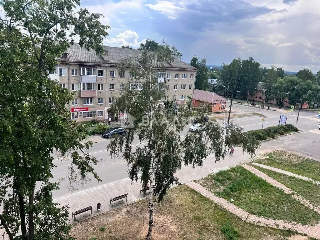 2-к кв. Владимирская область, Петушки ул. Маяковского, 23 (44.1 м) - Фото 1