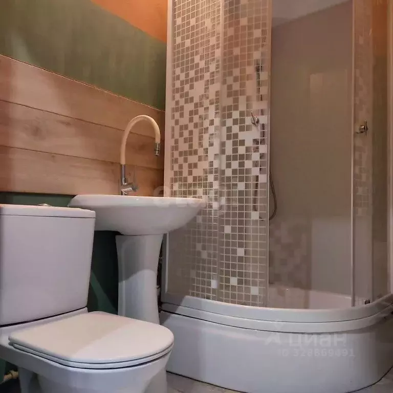 Студия Алтайский край, Новоалтайск ул. Анатолия, 90 (24.0 м) - Фото 1