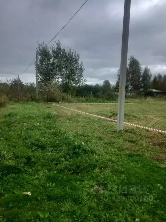 Участок в Калининградская область, Зеленоградский муниципальный округ, ... - Фото 2