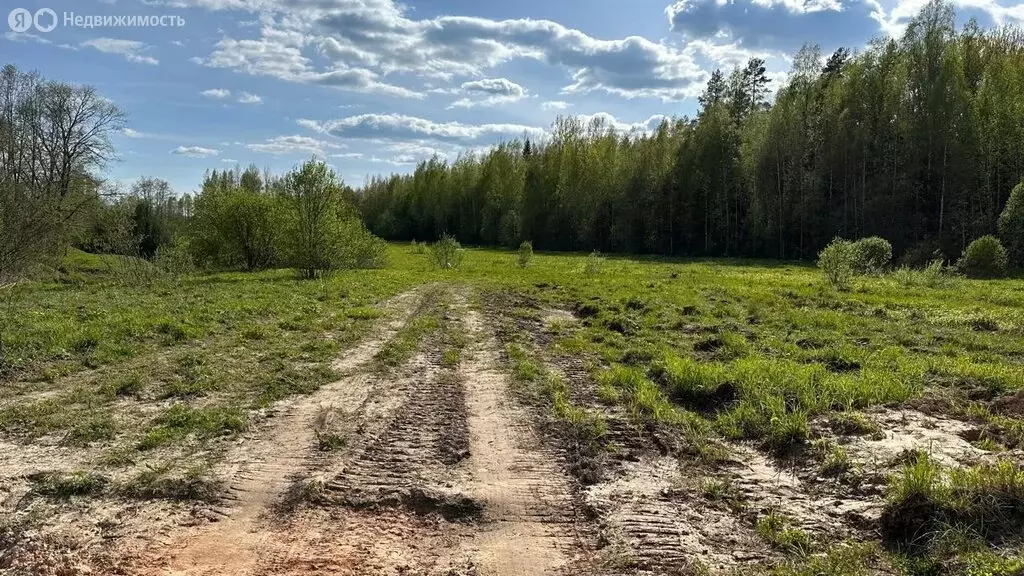 Участок в Новгородская область, Маловишерское городское поселение, ... - Фото 0