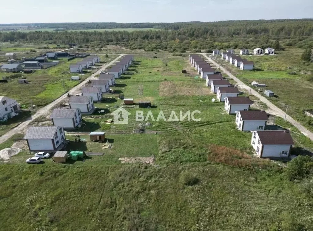 Участок в Нижегородская область, Богородский муниципальный округ, д. ... - Фото 1