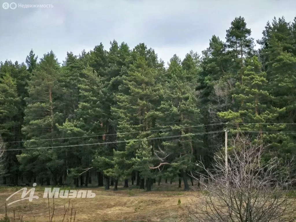 Дом в посёлок городского типа Нарышкино, 2-я Комсомольская улица, 7 ... - Фото 0