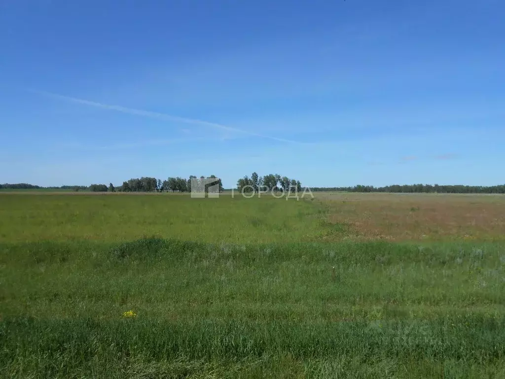 Участок в Алтайский край, Первомайский район Р-256 Чуйский тракт, ... - Фото 1