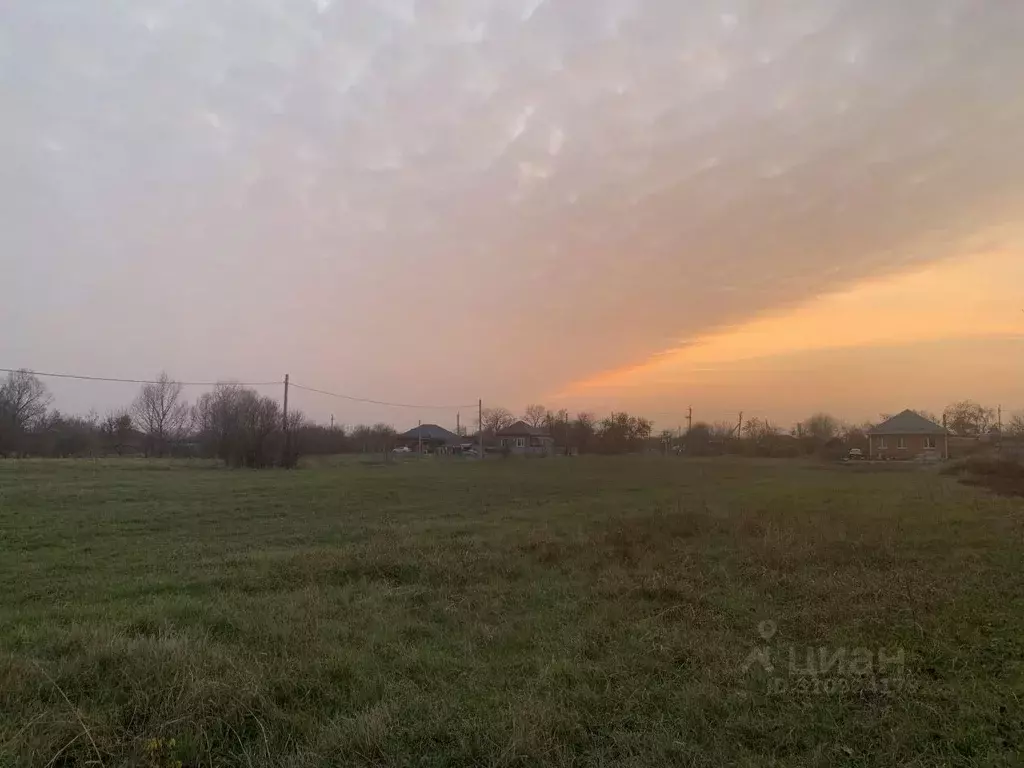 Участок в Краснодарский край, Новокубанский район, с. Ковалевское ... - Фото 1