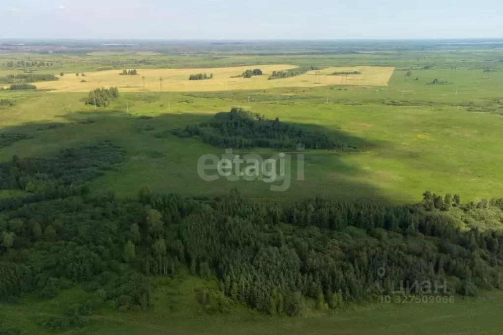 Участок в Тюменская область, Тюмень  (6.6 сот.) - Фото 1