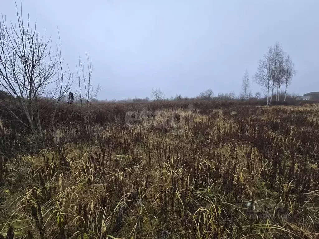 Участок в Брянская область, Брянский район, Добрунское с/пос, Полет ... - Фото 1