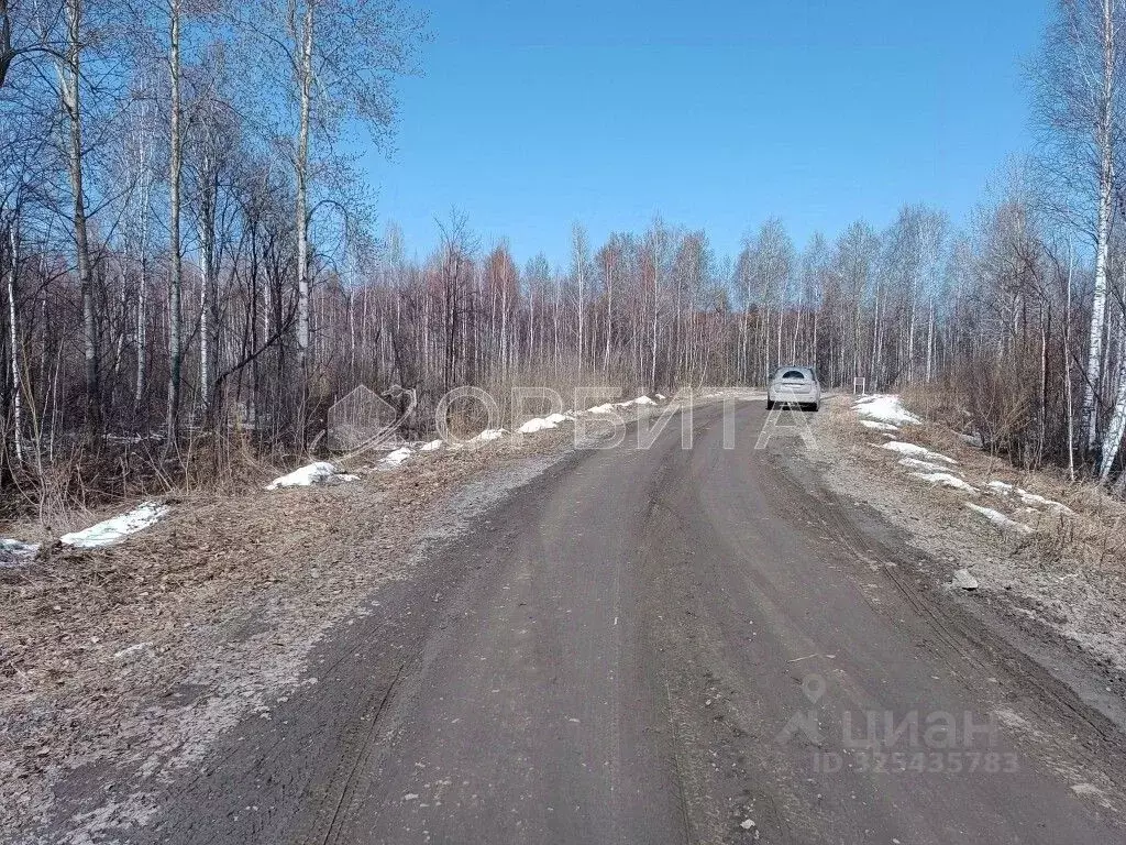 Участок в Тюменская область, Нижнетавдинский муниципальный округ, ... - Фото 2