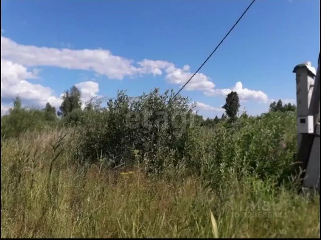 Участок в Тюменская область, Нижнетавдинский муниципальный округ, ... - Фото 1