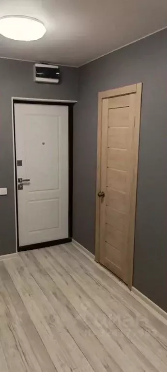 Студия Калужская область, Обнинск ул. Курчатова, 35 (17.2 м) - Фото 2