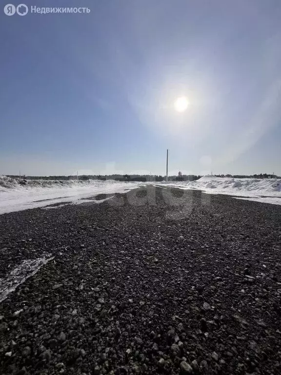 Участок в Тюмень, СНТ Факел, 4-я линия (10 м) - Фото 2