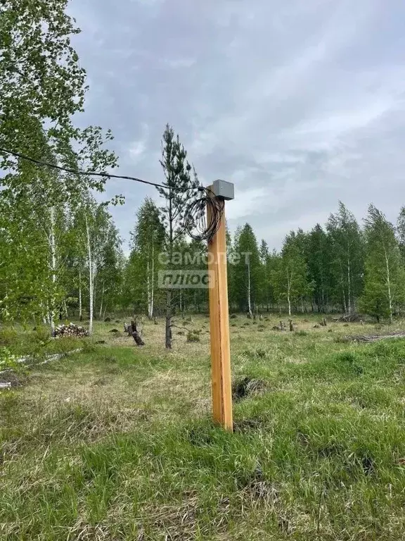 Участок в Иркутская область, Иркутский муниципальный округ, д. ... - Фото 2
