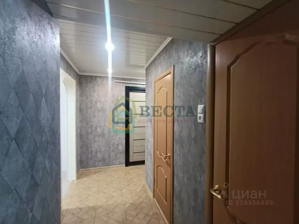 1-к кв. Ленинградская область, Ломоносовский район, Кипенское с/пос, ... - Фото 1