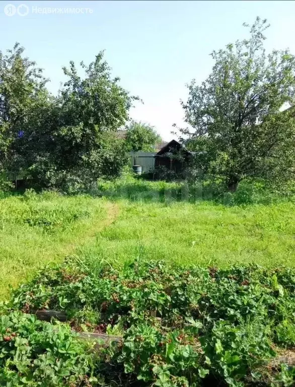 Дом в Тюмень, садовое товарищество Корабельщик, Бобовая улица (60 м) - Фото 1