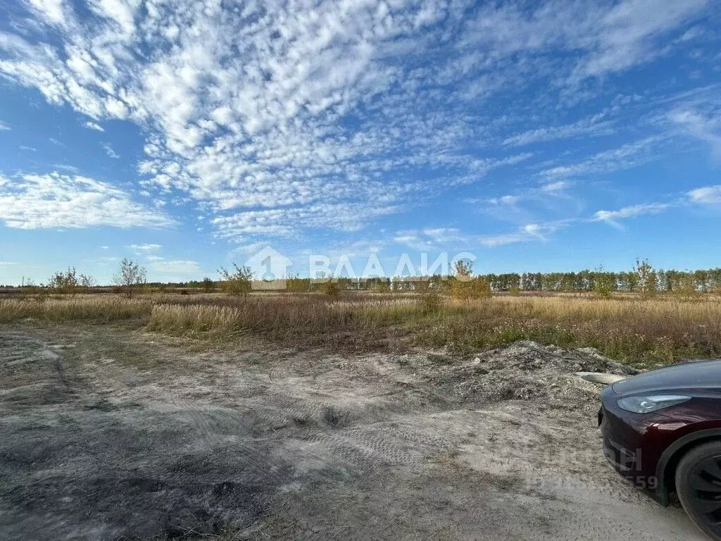 Участок в Пензенская область, с. Бессоновка ул. Славы (10.0 сот.) - Фото 1