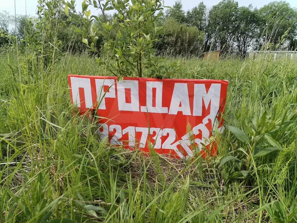Участок 15 сот. (ИЖС) - Фото 0