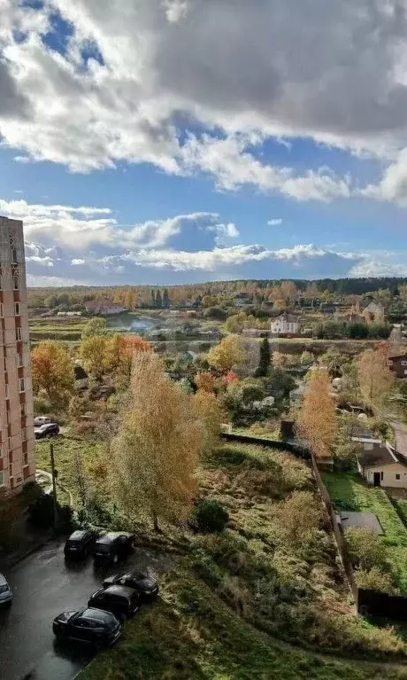 1-к кв. Ленинградская область, Никольское Тосненский район, ... - Фото 2