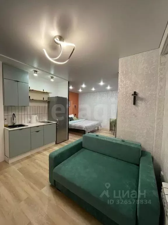 Студия Алтай, Майминский район, с. Майма ул. Ленина (30.7 м) - Фото 1