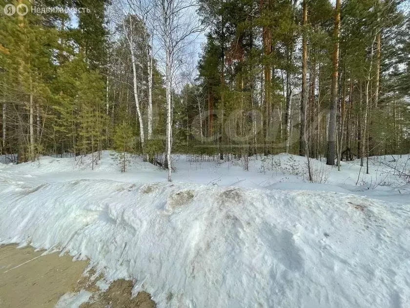 Участок в Нижнетавдинский район, село Тюнево (18.5 м) - Фото 0