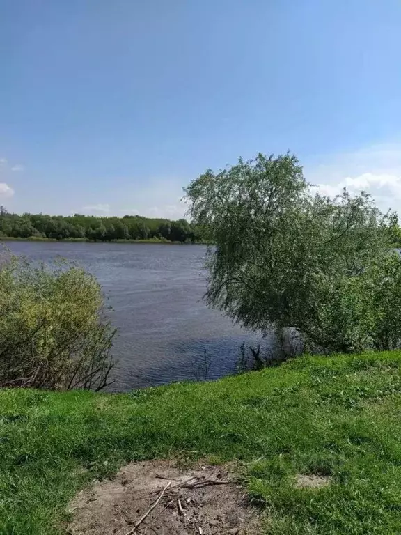 Участок в Рязанская область, Рыбновский район, Пощуповское с/пос, с. ... - Фото 1