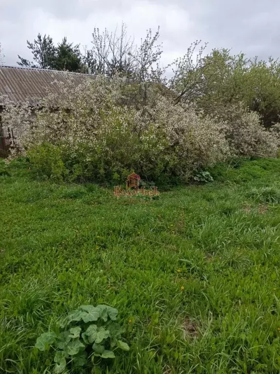 Участок в Московская область, Дмитровский муниципальный округ, д. ... - Фото 2