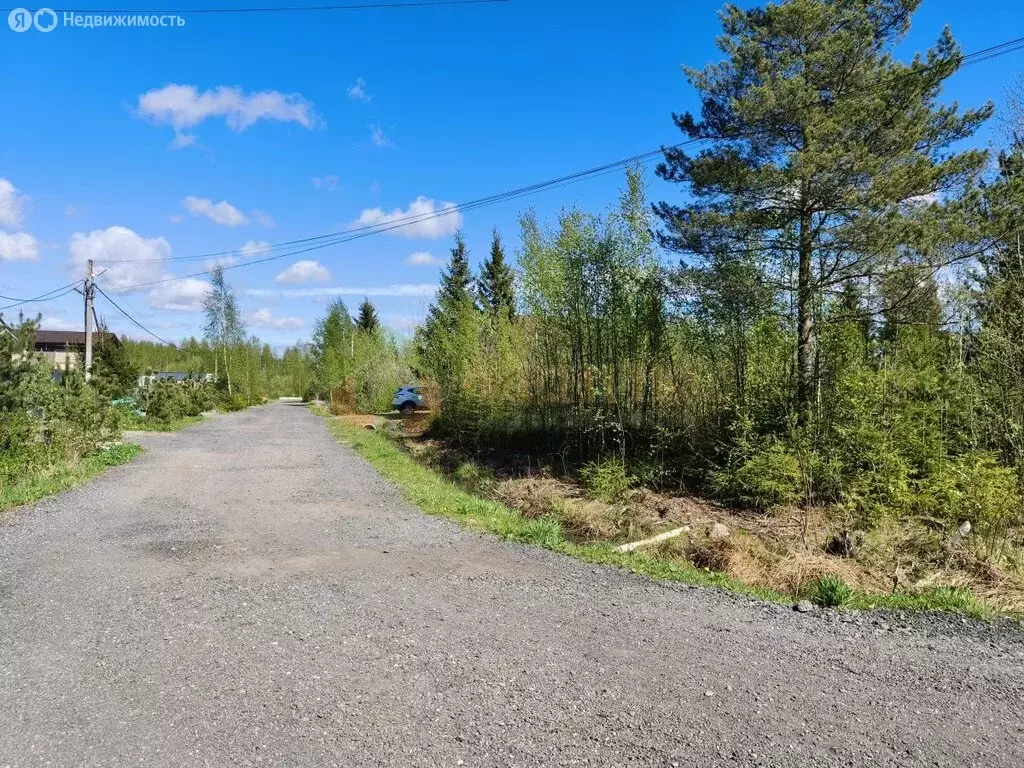 Участок в Сертолово, АСН Петровское, Дружная улица (10 м) - Фото 2