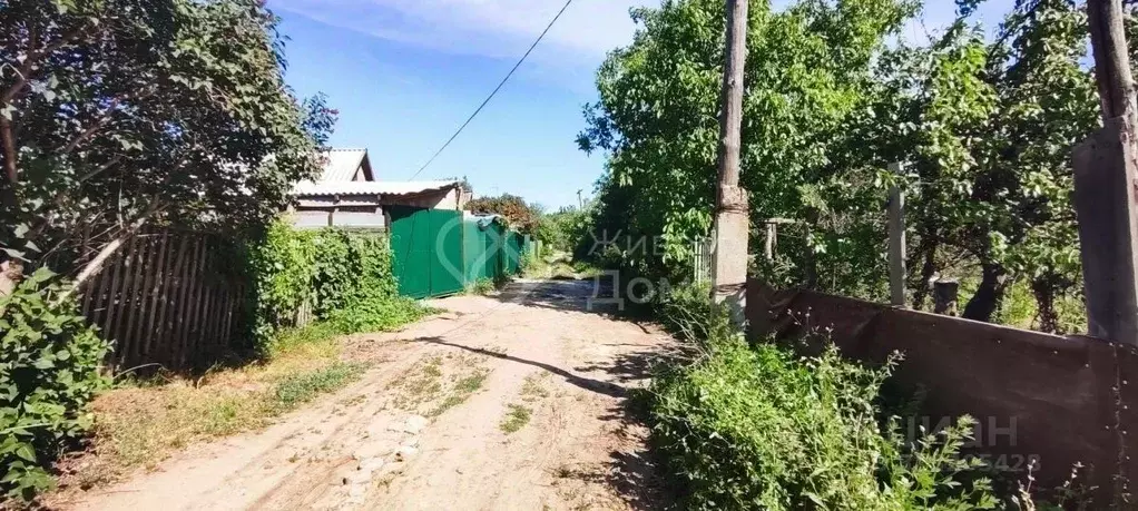 Дом в Волгоградская область, Волгоград Кировец СНТ, ул. Алычовая (20 ... - Фото 1