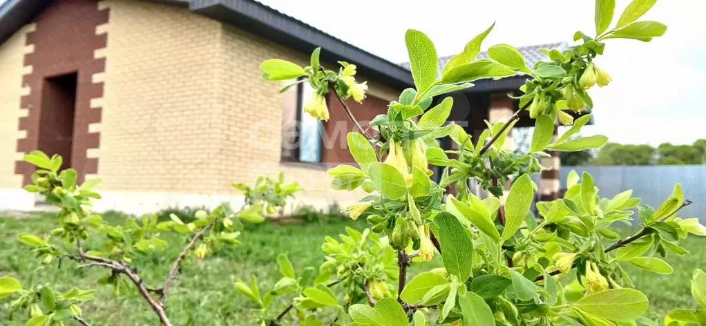 Дом 80 м на участке 8,5 сот. - Фото 1